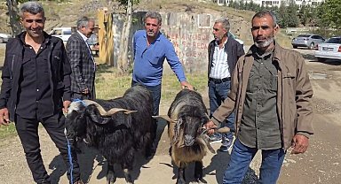 Bayram öncesi hayvan pazarına ilgi arttı