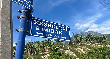 Belediye çalışanlarından örnek davranış: Çöp konteynerinde ölüme terk edilen kaplumbağayı kurtardılar