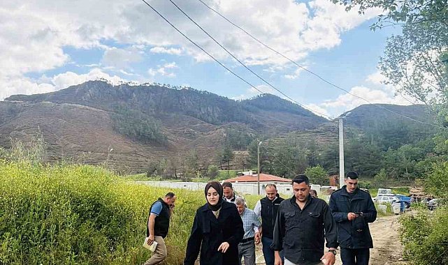 Bilecik'te büyük yangın sonrası yaralar sarılıyor