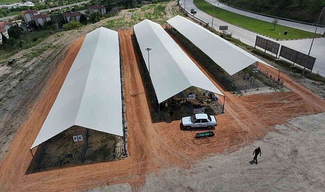 Bilecik'te kurban satış alanı bayrama hazır