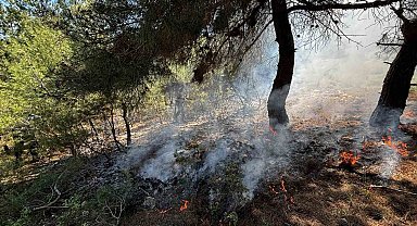 Bilecik'te ormanlık alanda yangın çıktı