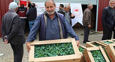 Bingöl'de 330 bin sebze fidesi üreticilere dağıtıldı