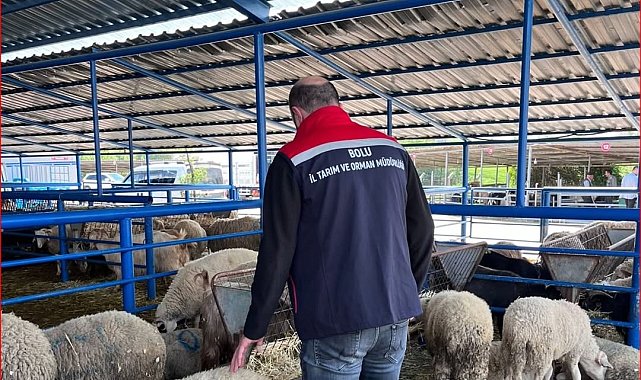Bolu'da kurban pazarlarına yönelik denetim yapıldı