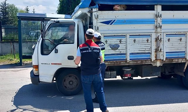 Bolu'da kurbanlık nakil araçları kontrol edildi