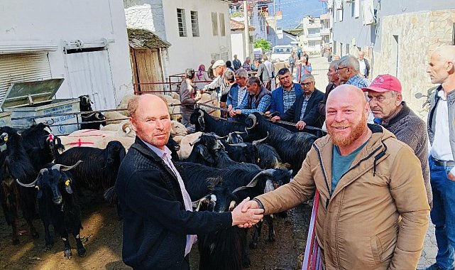 Bozdoğan Yazıkent'te Kurban Pazarı hareketlendi
