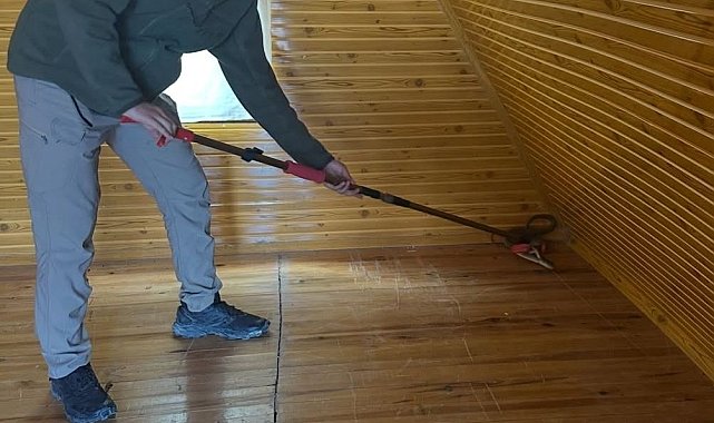 Burdur'da eve giren 'Hazer yılanı' doğaya salındı