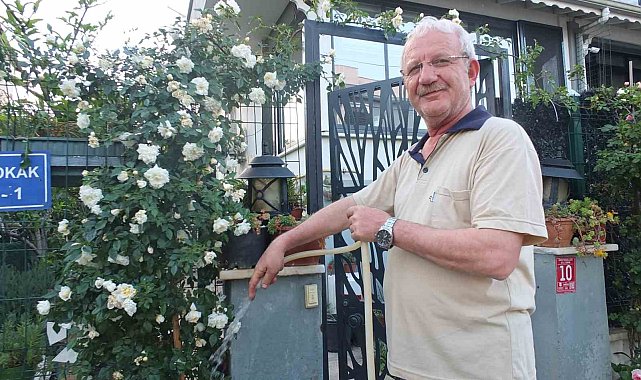 Burhaniye Ören de bahçelerde gül güzelliği yaşanıyor