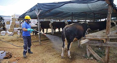 Büyükşehirden 6 farklı noktada ücretsiz kurban kesim hizmeti
