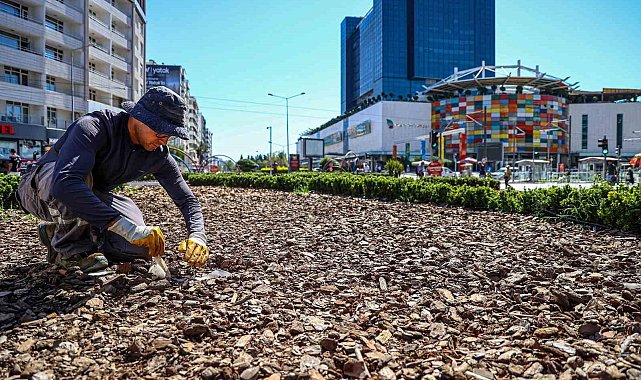 Büyükşehirden kuraklığa karşı sürdürülebilir peyzaj