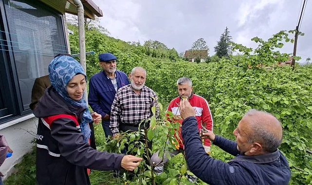 Büyükşehirin aşı 'Ordu'su büyüyor