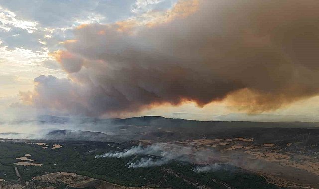 Çanakkale Valiliği uyardı, ormana girişler yasaklandı