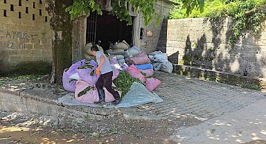ÇAYKUR sezonun ilk gününde 900 ton çay aldı