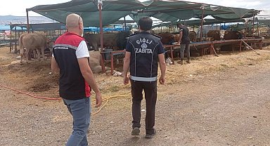 Çiğli'de kurban denetimleri aralıksız sürüyor
