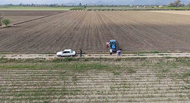 Çukurova'da arazilerini dolu vuran üretici mısırı söküp ayçiçeğine yöneldi
