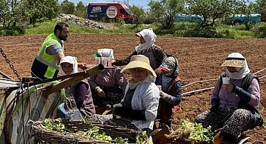 Denizli'de tarlalara ikram molası