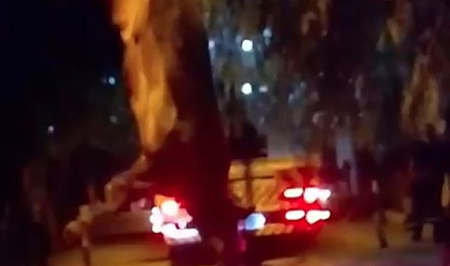 Dereye düşen kurbanlık dana vinçle kurtarıldı