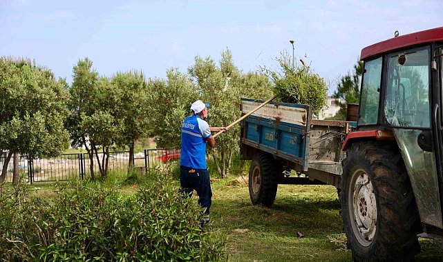 Didim Belediyesi'nden okullarda ot biçme ve çevre düzenleme çalışması