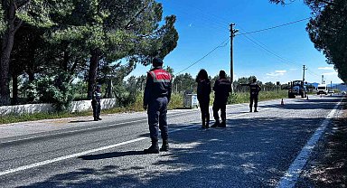 Didim'de kurbanlık denetimi