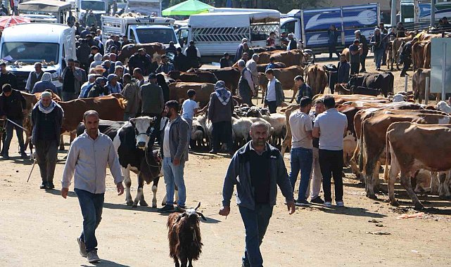 Diyarbakır Canlı Hayvan Borsasında kurbanlık hareketliliği