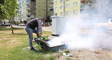 Diyarbakır ilçelerinde haşereyle mücadele aralıksız sürüyor