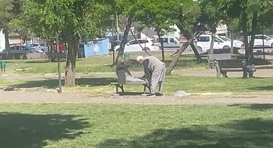 Diyarbakır'da amcalar yaşlarına aldırış etmeden parkta mekik çekti