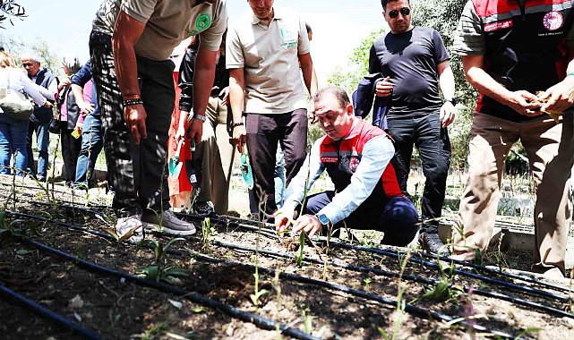 Dünya Çiftçiler Günü'nde salep hasadı