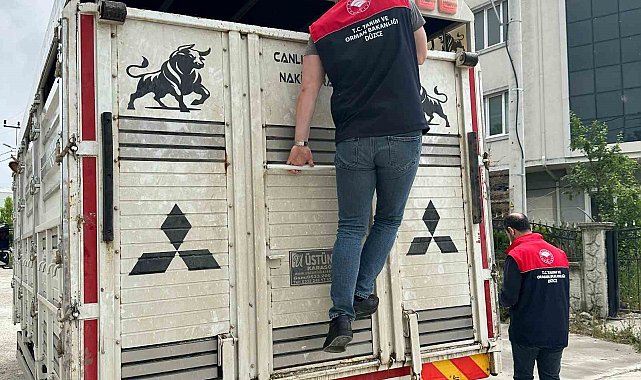 Düzce'de artan hayvan haraketliliği denetim altında