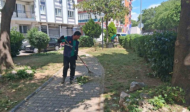 Efeler'de parklar yaza hazırlanıyor