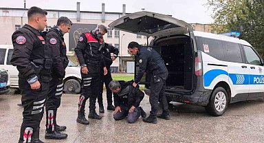Ehliyetsiz sürücü zorluk çıkarınca biber gazı yedi