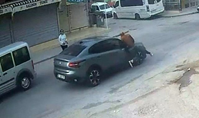 El sallayıp karşıya geçmek isterken otomobil çarptı