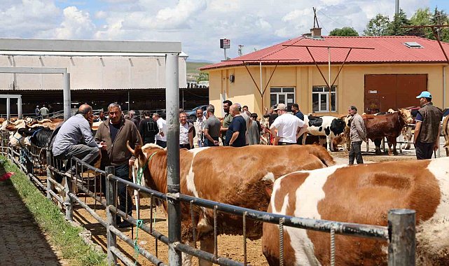 Elazığ Hayvan Pazarı'nda arife günü yoğunluğu