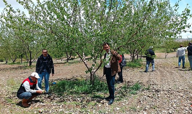 Elazığ'da dolu sonrası hasar tespiti yapıldı