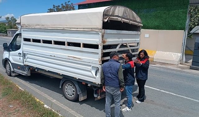 Elazığ'da Kurban Bayramı öncesi hayvan sevklerine sıkı denetim