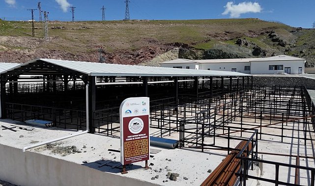 Elazığ'da kurban satış ve kesim alanlarında çalışmalar başladı