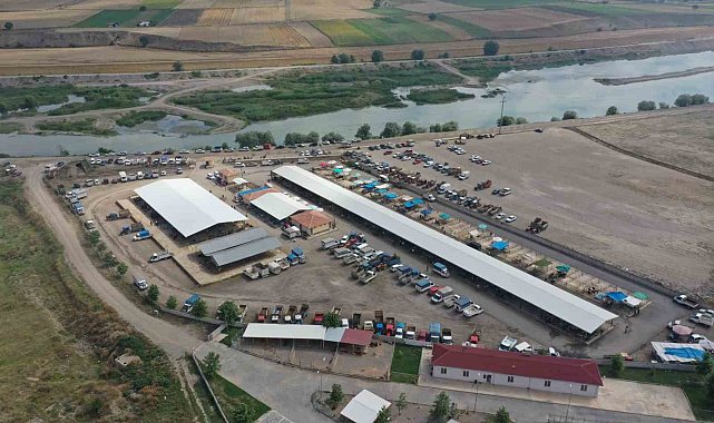 Erbaa hayvan pazarı yeniden açılıyor