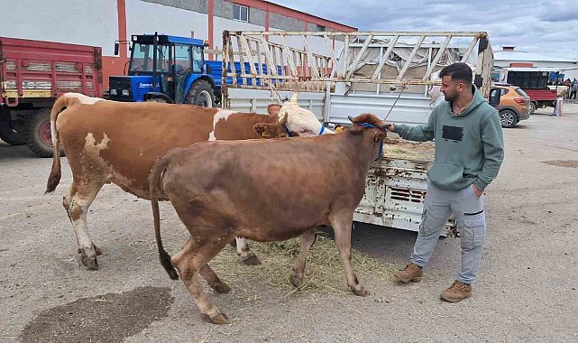 Erzurum'da kurban pazarı hareketlendi