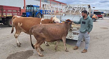 Erzurum'da kurban pazarı hareketlendi