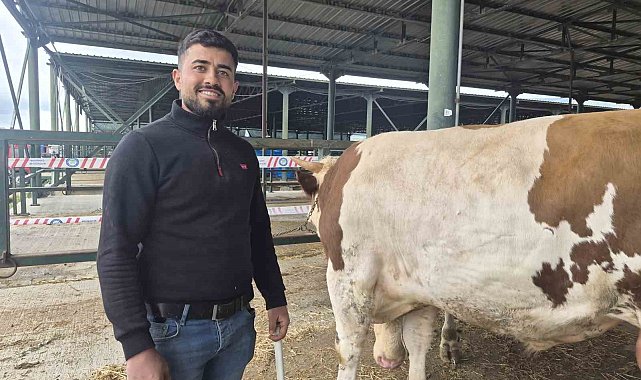 Eskişehir Hayvan Pazarı'nın şampiyon danası görücüye çıktı