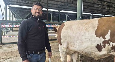 Eskişehir Hayvan Pazarı'nın şampiyon danası görücüye çıktı