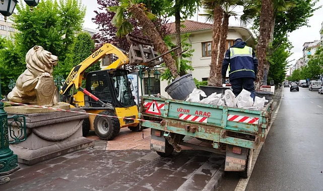 Eskişehir'de Köprübaşı palmiyeleri sahaya çıktı