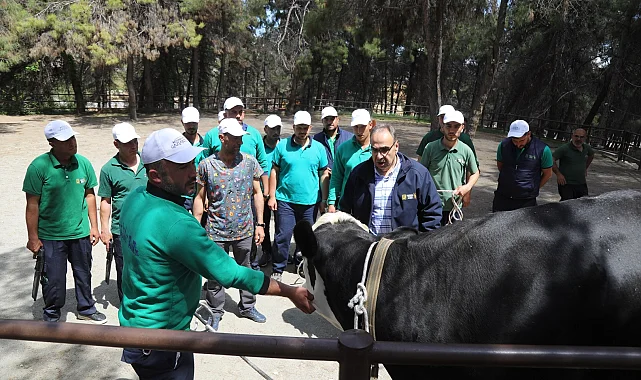 Gaziantep'te yakalama timi göreve hazır... Drone destekli yakalama timi