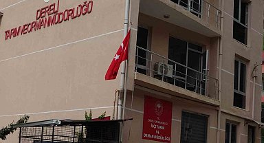 Giresun'un Dereli İlçe Tarım ve Orman Müdürlüğü'nde kamu zararı iddialarıyla ilgili soruşturma başlatıldı