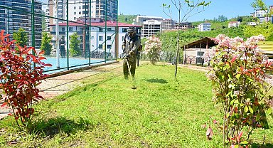 Giresun'da yaz mesaisine hız verildi
