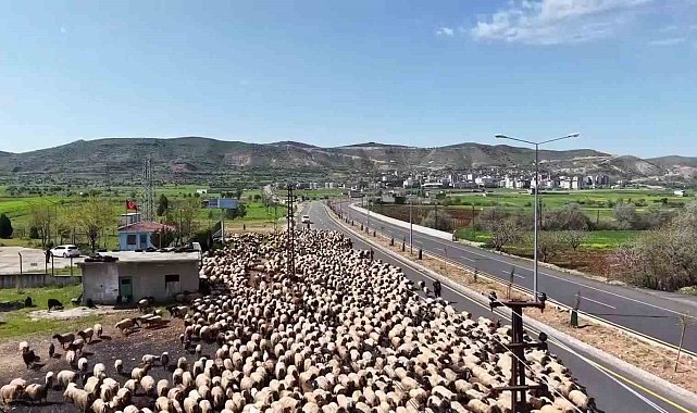Göçerlerin zorlu yolculuğu dronla görüntülendi