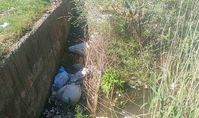 Gölbaşı'nda köylüler kanalların ilaçlanmasını istiyor