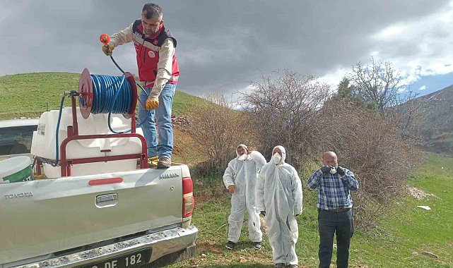 Gümüşhane'de çekirge istilasına uğrayan köyde ilaçlama çalışması başlatıldı