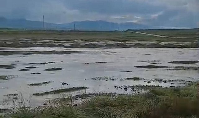 Günyüzü'de aşırı yağış sonucunda sel meydana geldi