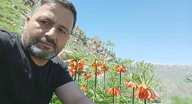 Hakkari'de 2 bin 700 rakımda ters laleler görüntülendi
