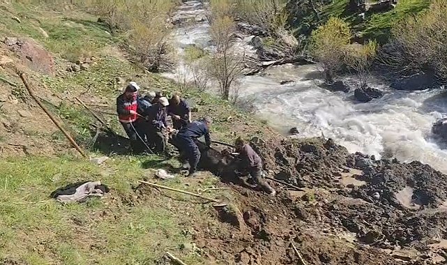 Hakkari'de bataklığa saplanan inek kurtarıldı