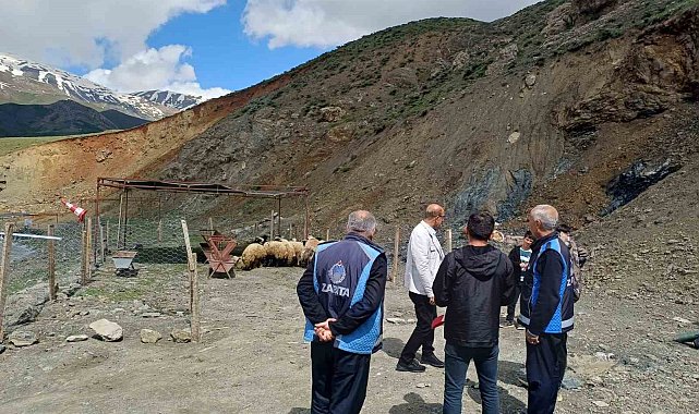 Hakkari'de Kurban pazarı hareketlendi
